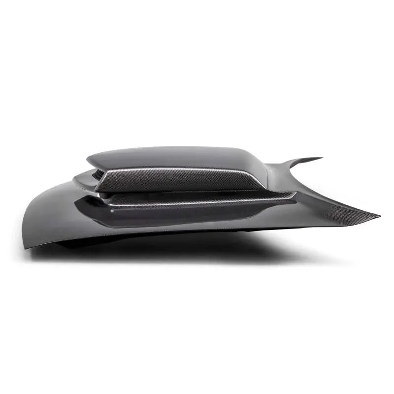 Anderson Composites 15-23 Dodge Challenger Type-Hm Carbon Fiber Hood 1