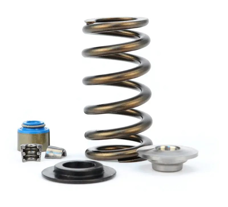 Comp Cams 11-14 Ford Coyote/Boss 5.0L .600In Max Lift Valve Spring Kit 1