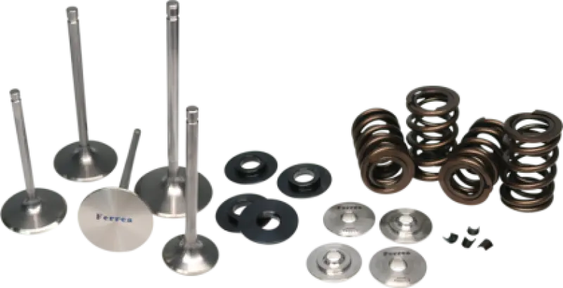Ferrea 03-09 Yamaha Yzf450 Single Valve Spring Kit 1