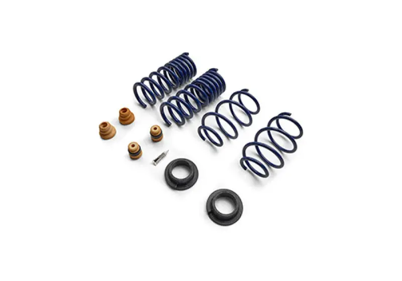 Ford Racing 15-24 Mustang Street Lowering Spring Kit 2