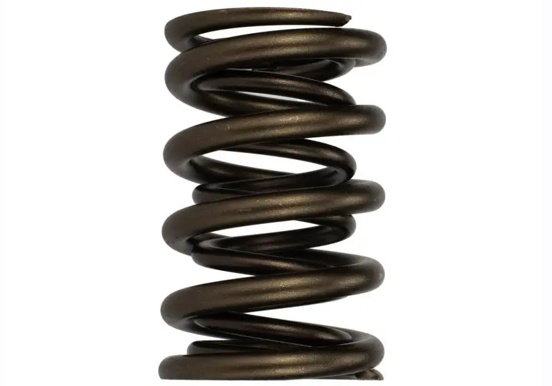 Ford Racing  Replacement Hydraulic Roller Valve Spring - Single (For M-6049-Scja) 1