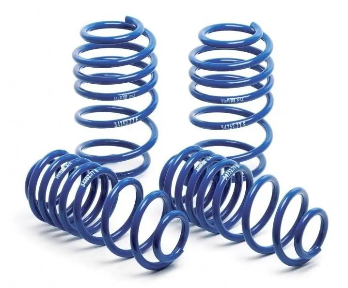 H&R 11-14 Ford Mustang/Mustang Convertible/Mustang Gt V6/V8 Super Sport Spring 1