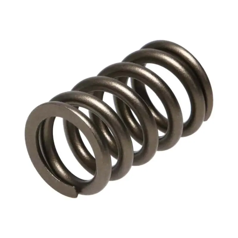 Manley Valve Spring, Spring-Nissan Patrol Tb48 2