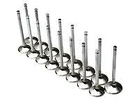 Brian Crower 29.0Mm Standard Exhaust Valves For Toyota 3Sgte Engines 1
