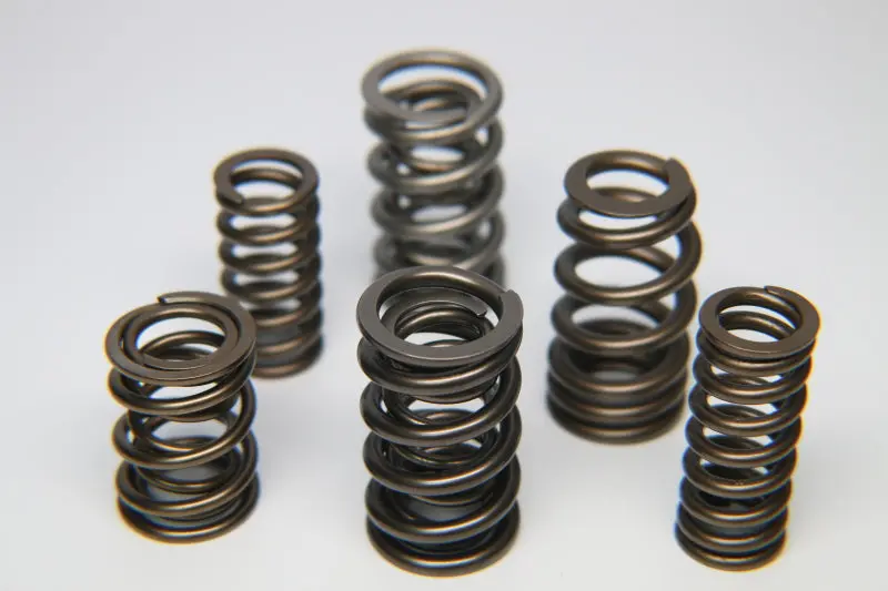 Ferrea Dual Valve Spring Kit For Suzuki G10 Engine – Set Of 6 1